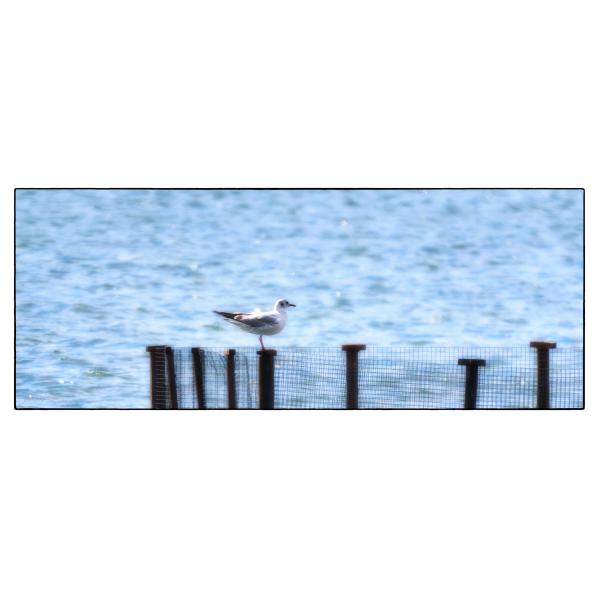 PHOTO84, CLUB, 84 , LUBERON